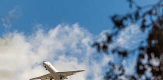 Ile państwo daje na NFZ?