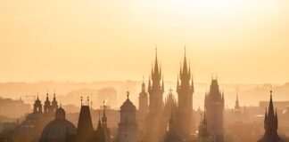 Jakie są cele w firmie?