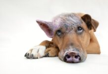 Czy coaching to ściema? Czy coaching to ściema?