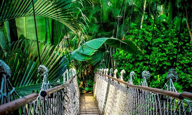 Co daje kurs coachingu? Co daje kurs coachingu?