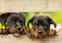 Dlaczego widzimy wodę w kolorze niebieskim? Dlaczego widzimy wodę w kolorze niebieskim?