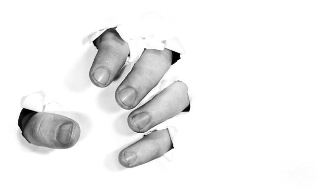 Jakie dobra wytwarza sektor publiczny? Jakie dobra wytwarza sektor publiczny?