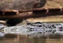 Jakie są zasady planowania? Jakie są zasady planowania?