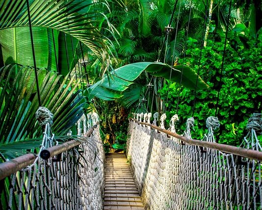 Ile trwa kurs na kierowcę zawodowego?