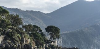 Ile kosztuje wydrukowanie 1000 stron?