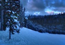 Ile lat jest ważny licencjat? Ile lat jest ważny licencjat?